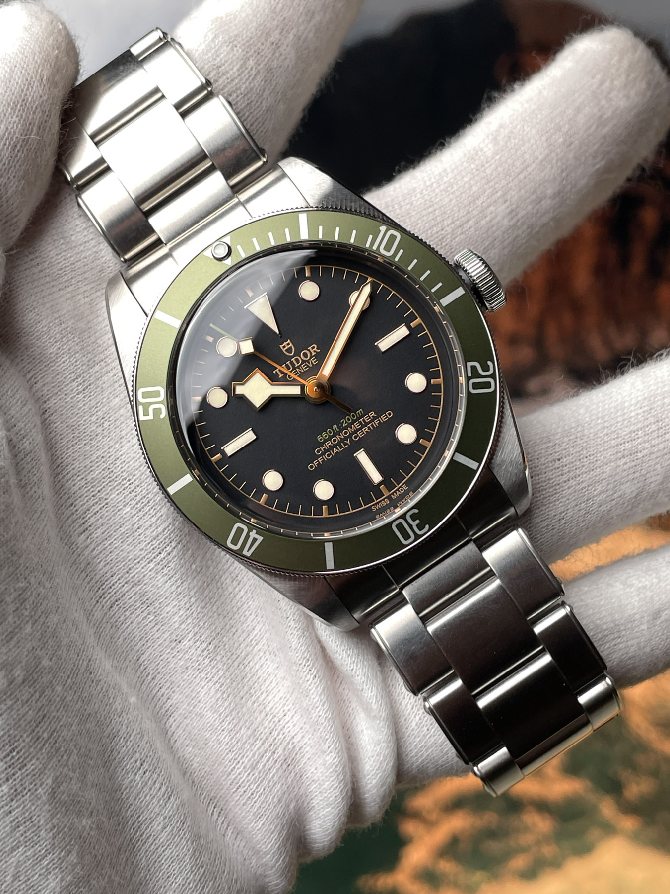 Tudor Black Bay Harrods 79230G