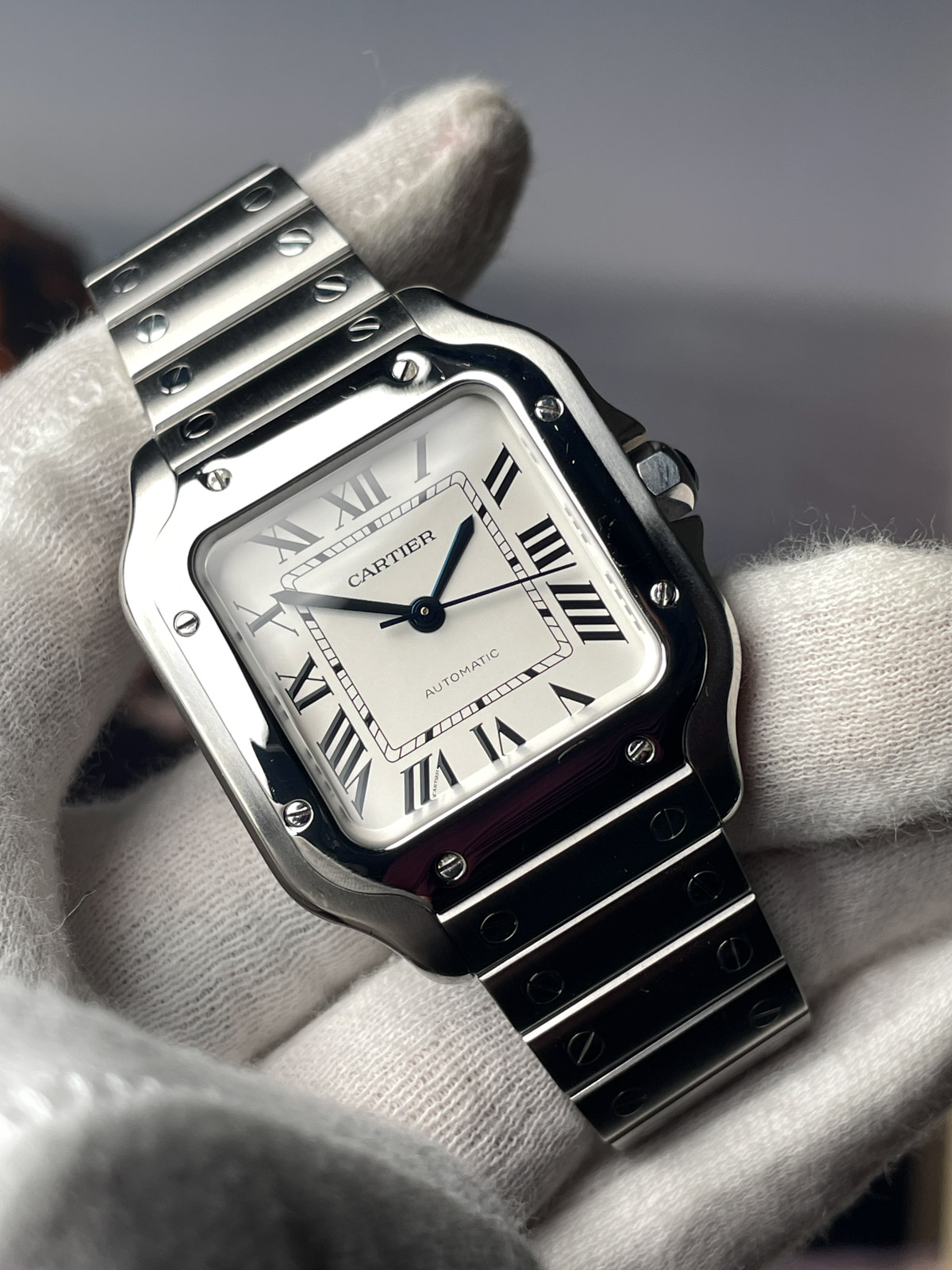 Cartier Santos Automatic WSSA0029