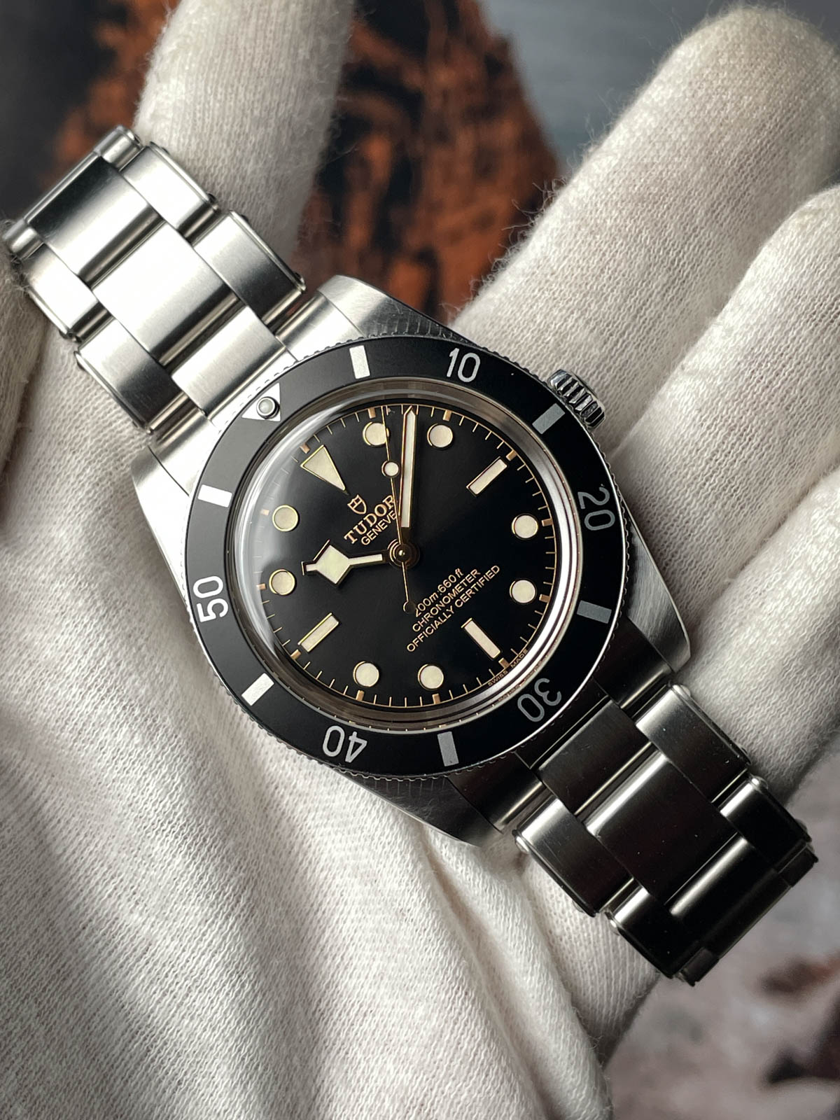 Tudor Black Bay 54 79000N